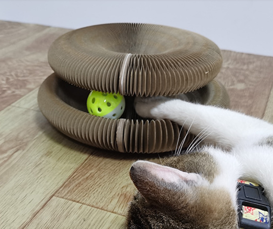 Arranhador de Gatos Órgão Mágico Arranhador de Gatos