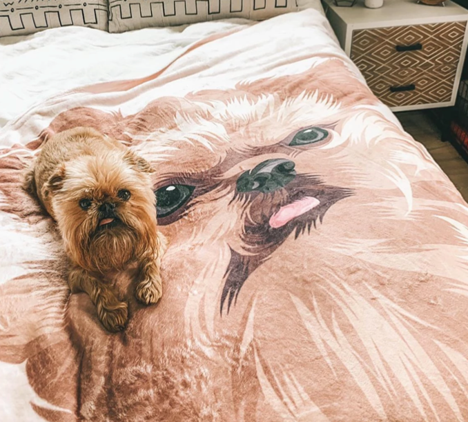 Custom Pet Portrait Blanket, Dog Portrait Gift, Cat Blanket, Pet Portrait Present, Customized Dog Blanket
