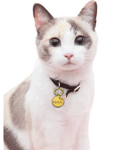Cargar imagen en el visor de la galería, Cat Dog ID Tag Personalized Custom Dog Tag Unique Pet ID Tag
