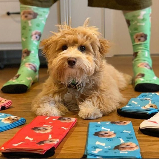 Custom Pet Socks, Dog Socks, Pup Socks, Dog Lover Gift, Cat Socks, Personalized Gift, Photo Socks
