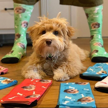 Charger l&#39;image dans la galerie, Custom Pet Socks, Dog Socks, Pup Socks, Dog Lover Gift, Cat Socks, Personalized Gift, Photo Socks
